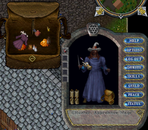 Ultima Online character